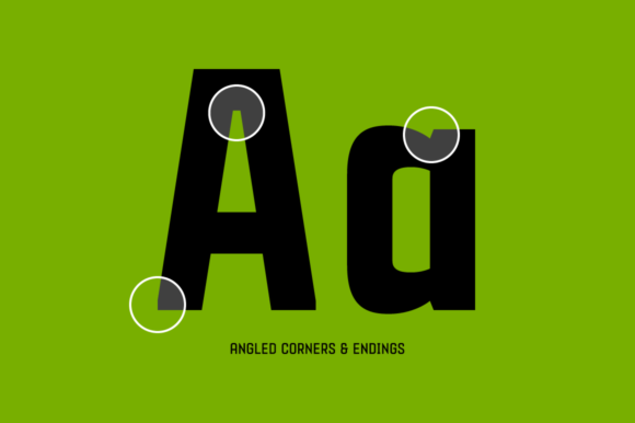 Gubia Family Font - Preview 1