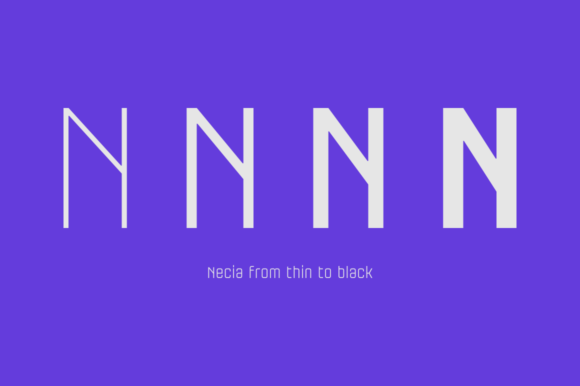 Necia Family Font PNG with transparent background - Preview 3