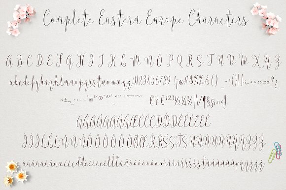 Argentina Script Font - Preview 6