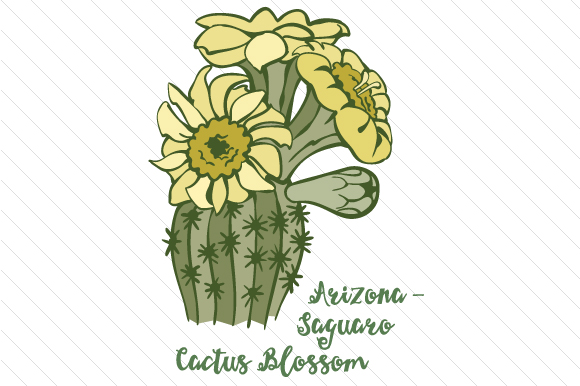 State Flower: Arizona Saguaro Cactus Blossom SVG Cut file by Creative  Fabrica Crafts  Creative Fabrica