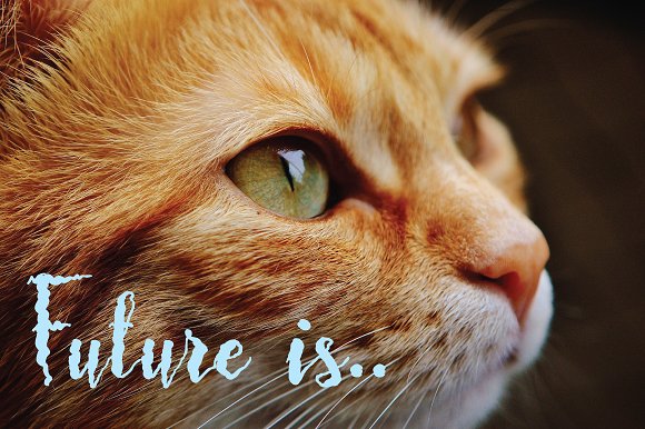 Frizzy Bella Font - Preview 4