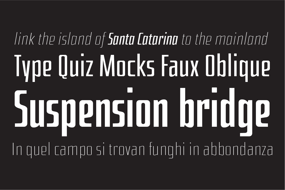 Hercílio Font - Preview 3