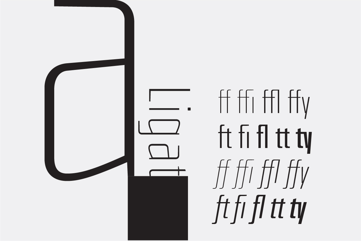 Hercílio Font - Preview 5