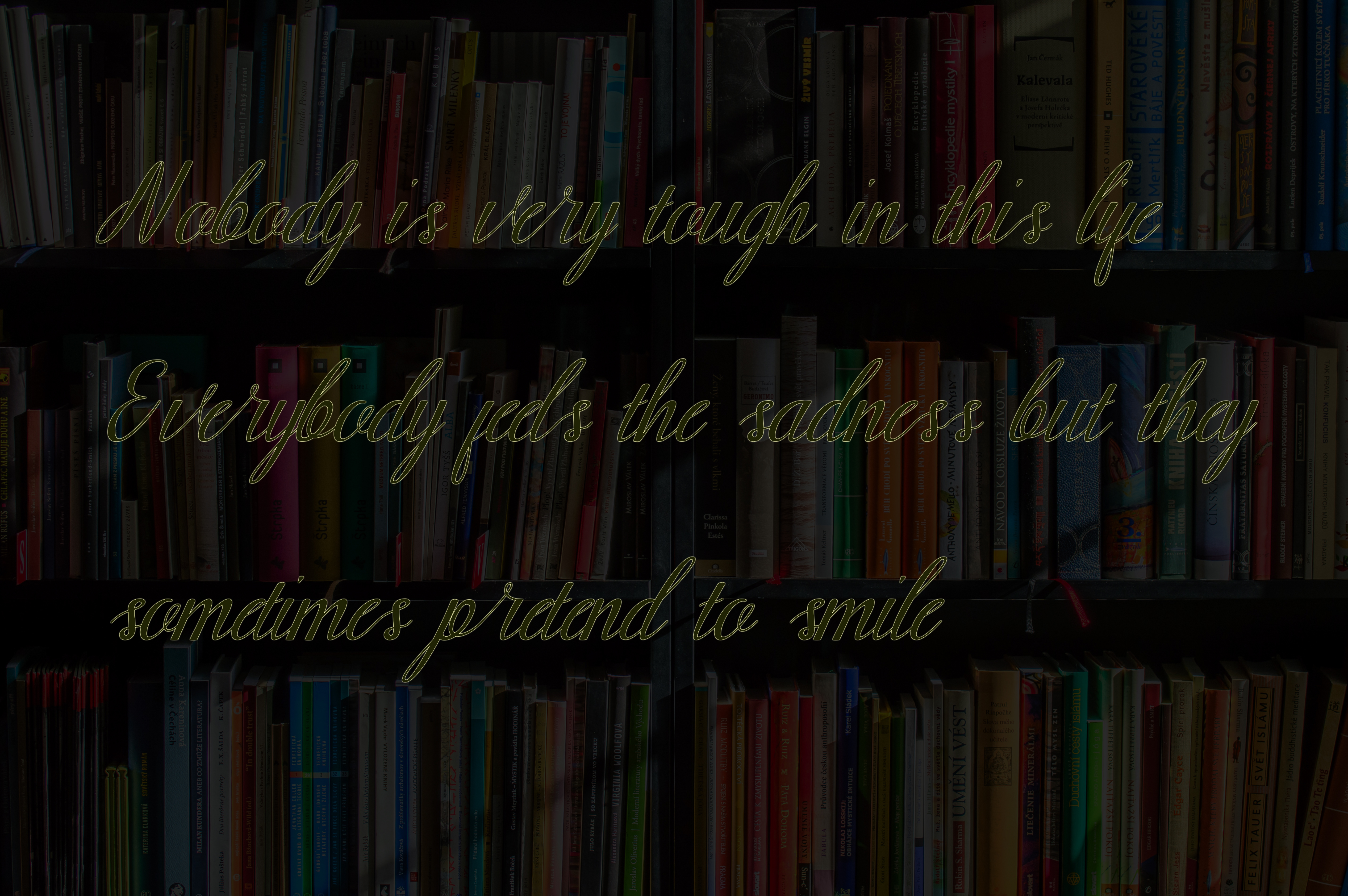 Amelia Font - Preview 2