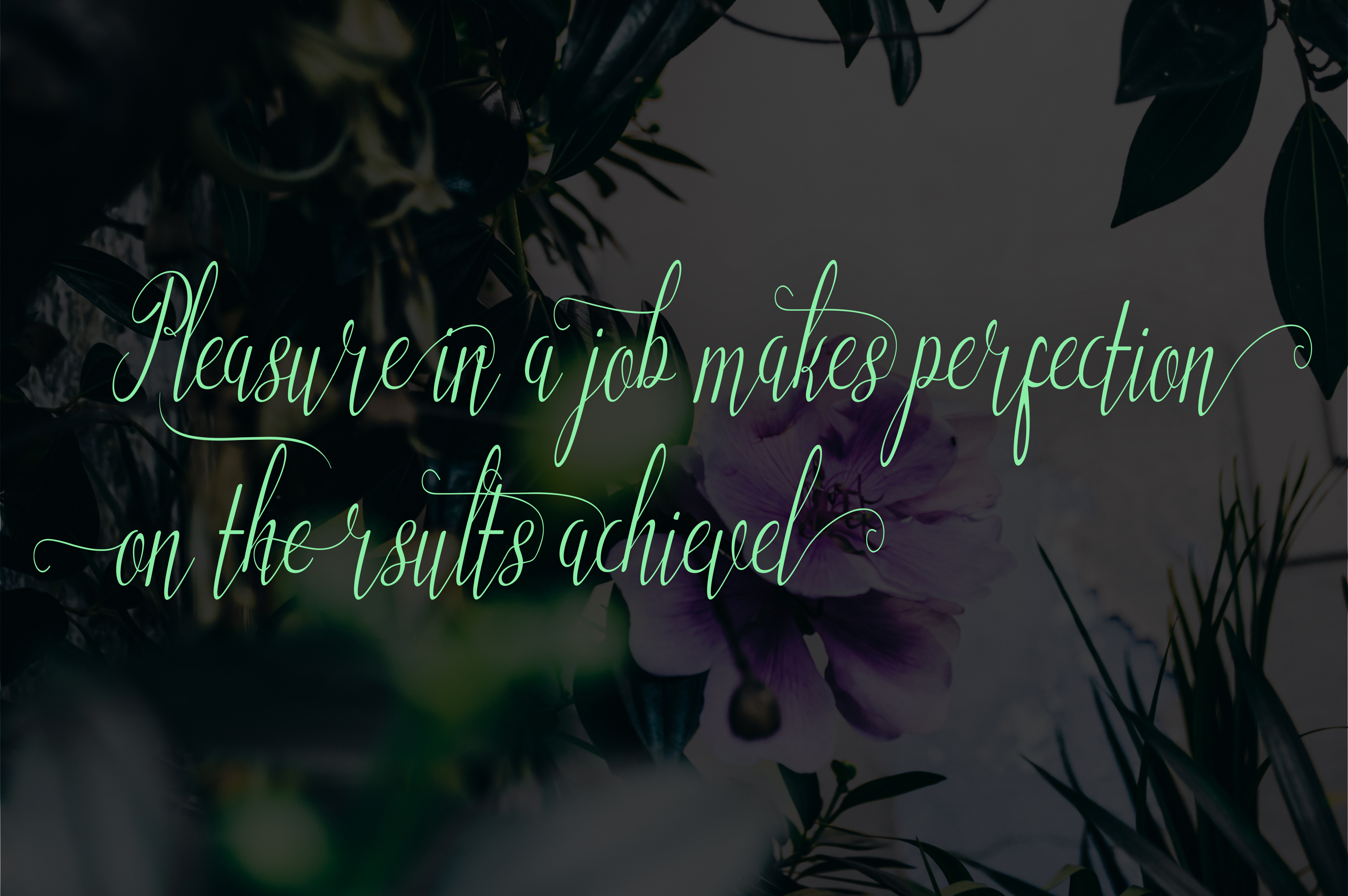 Angelonia Font - Preview 1