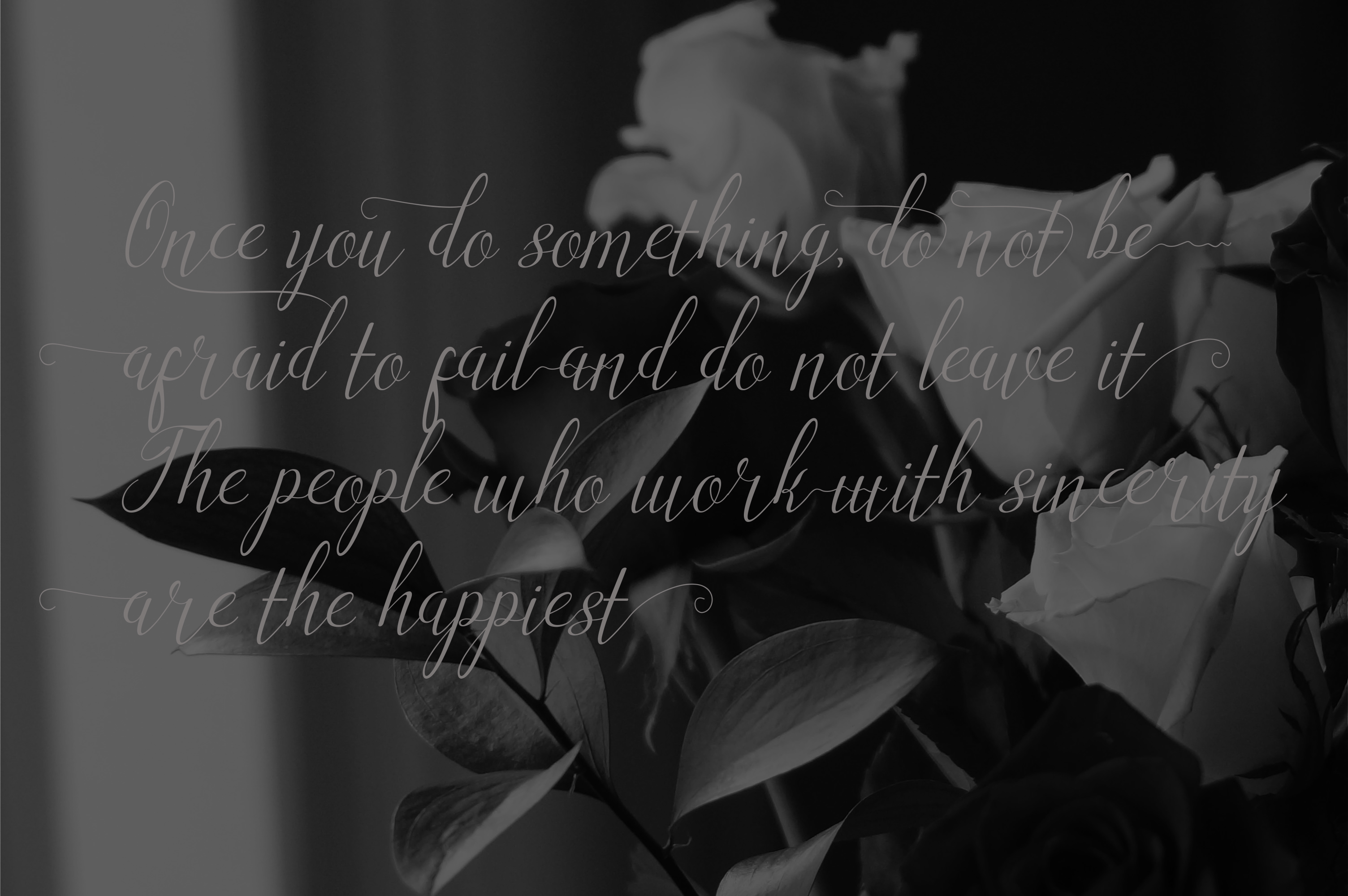 Angelonia Font - Preview 2
