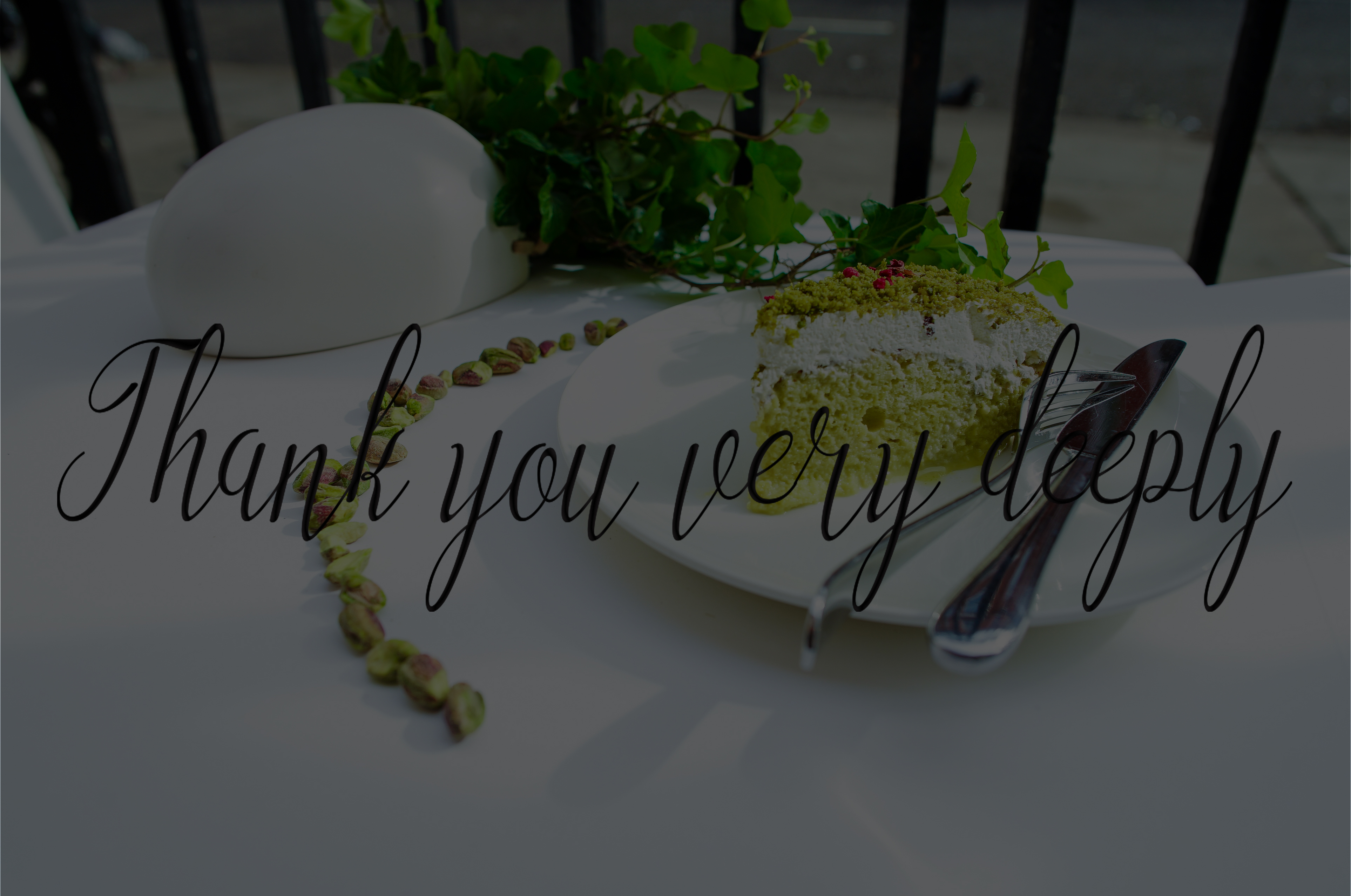 Angelonia Font - Preview 5