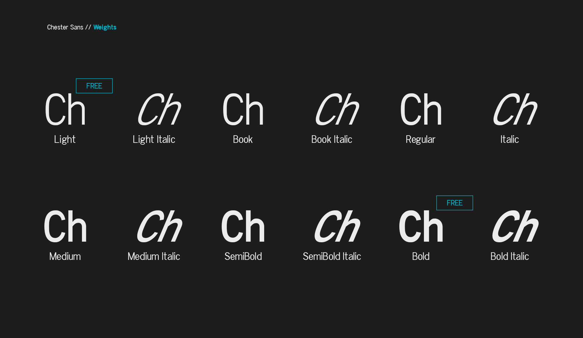 Chester Sans Font - Preview 1
