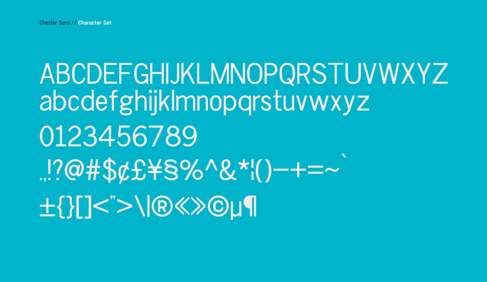 Chester Sans Font - Preview 2