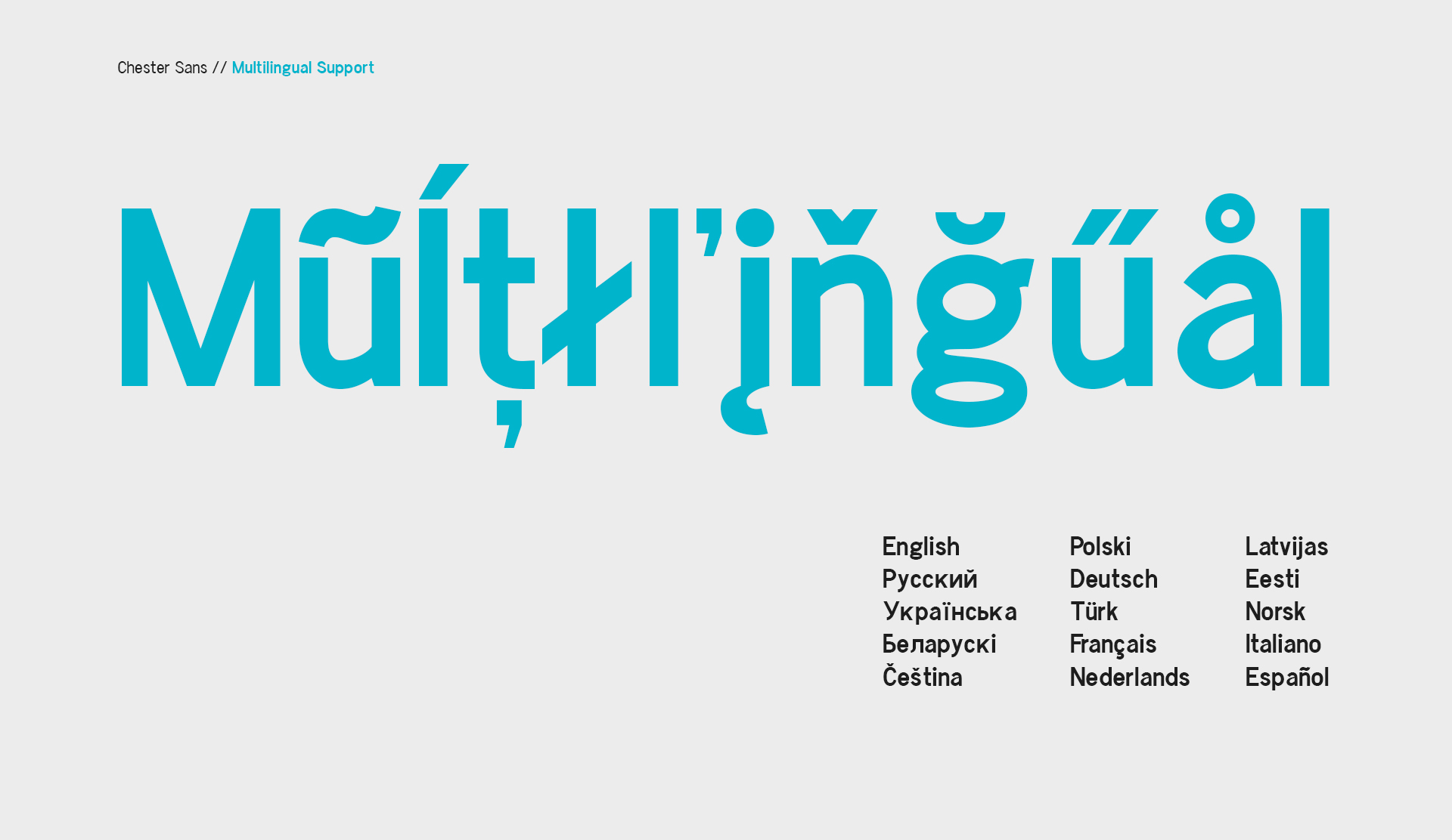 Chester Sans Font - Preview 6