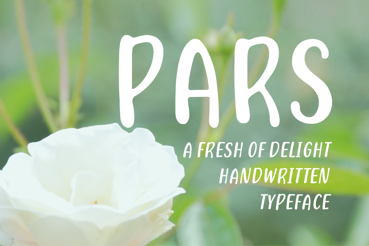 Pars Font PNG with transparent background - Preview 2