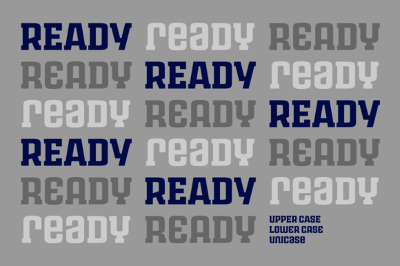 Rauda Slab Family Font PNG with transparent background - Preview 2