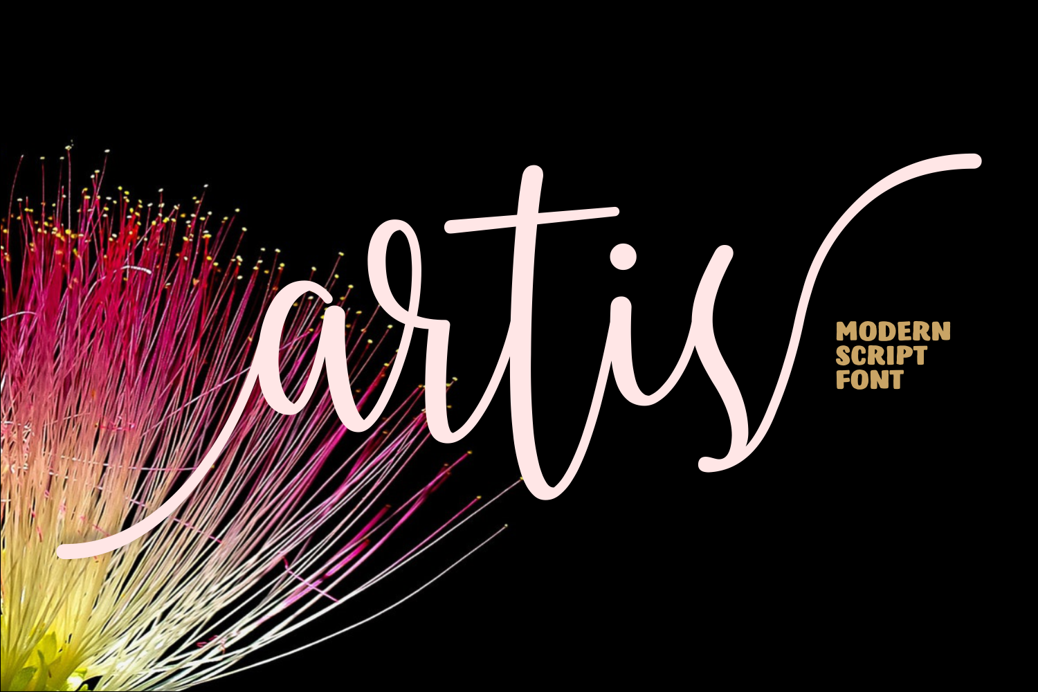 Artis Font - Preview 1