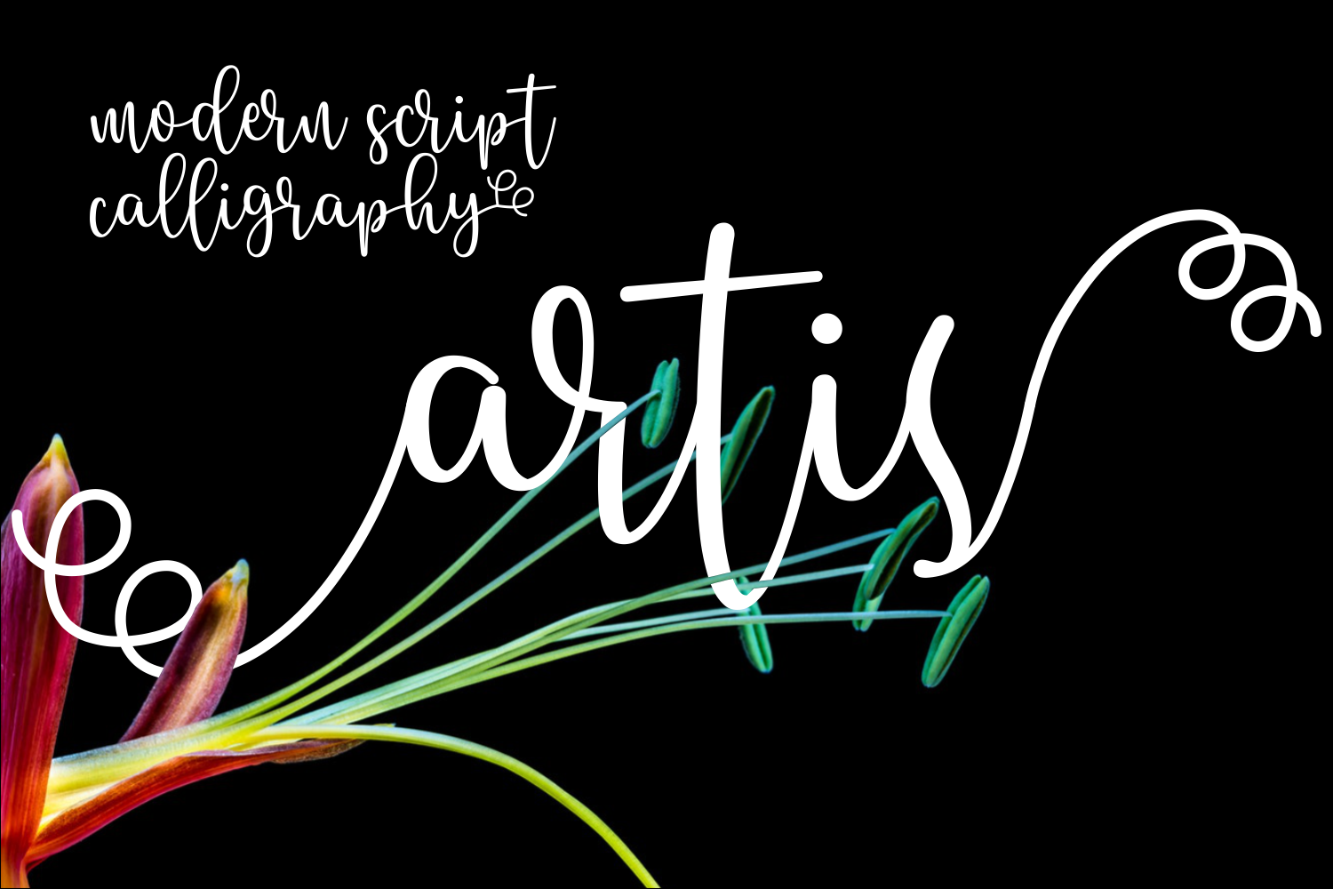 Artis
