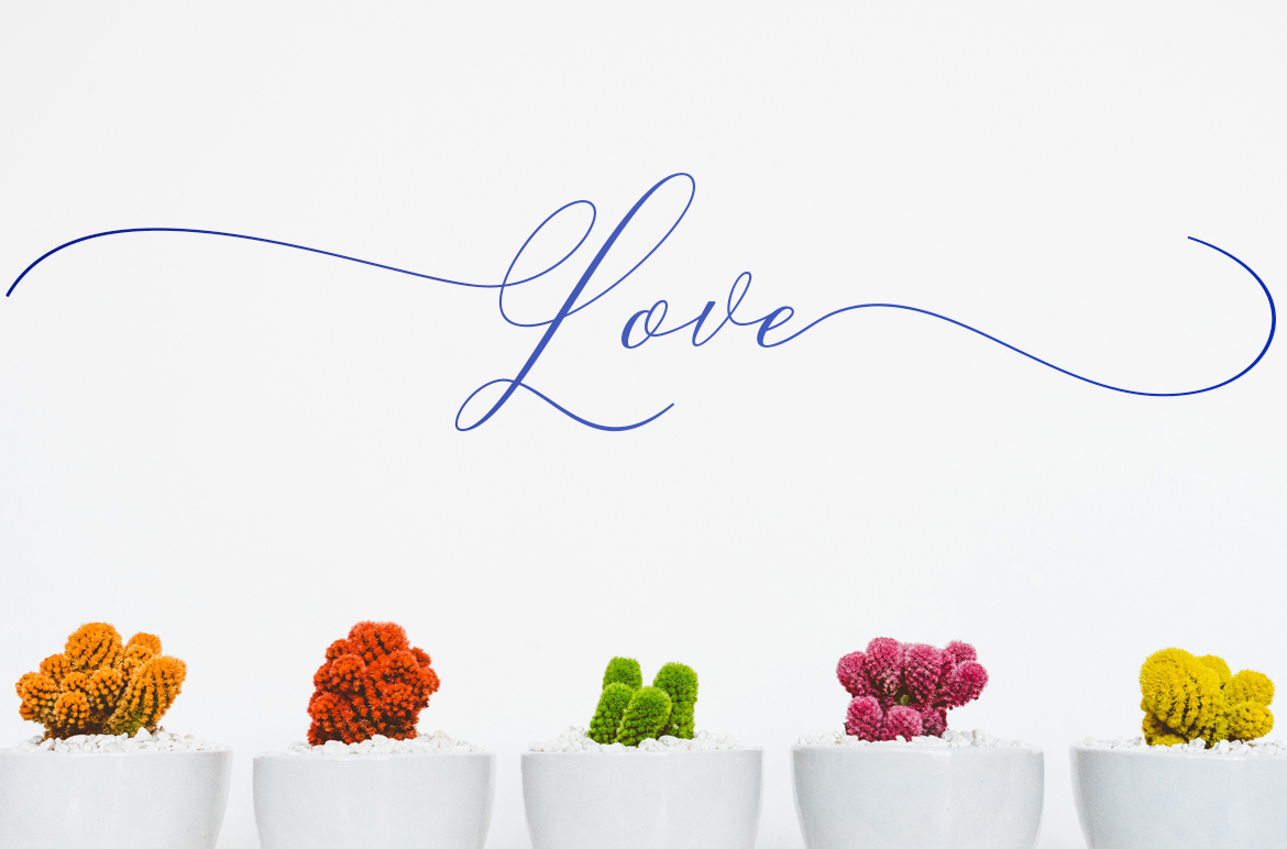 Camelia Font - Preview 6