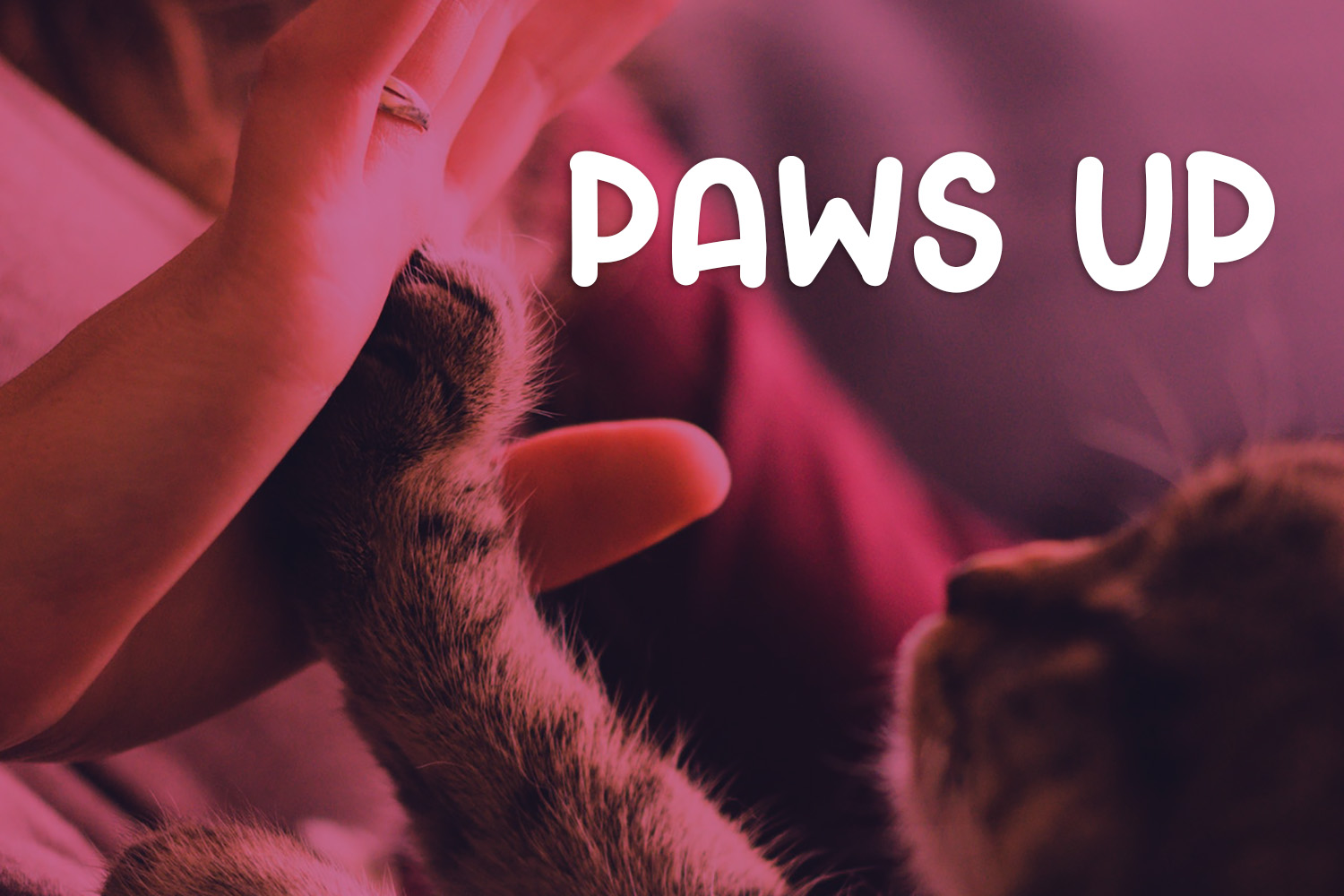 Crafty Cat Font - Preview 1