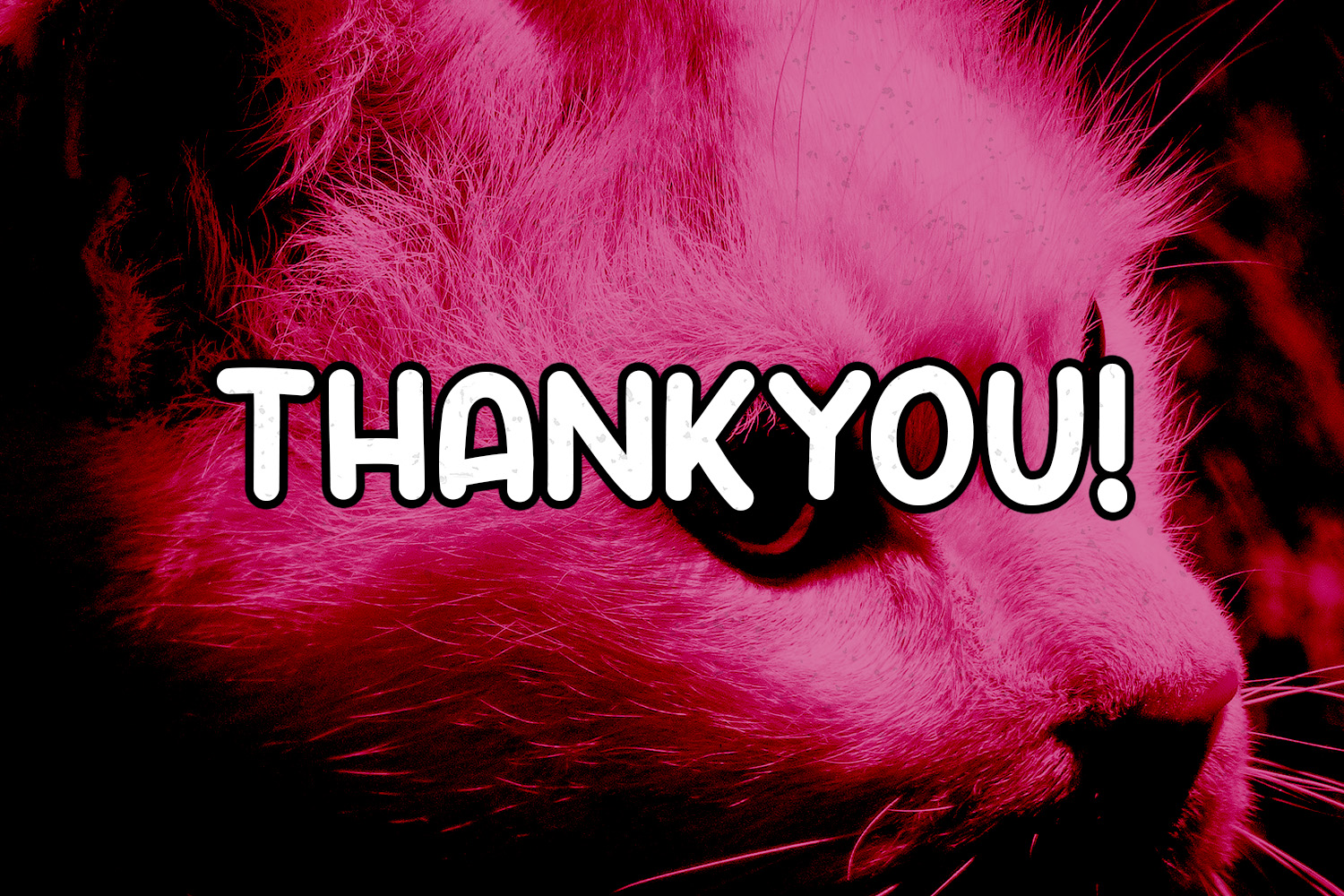 Crafty Cat Font - Preview 5