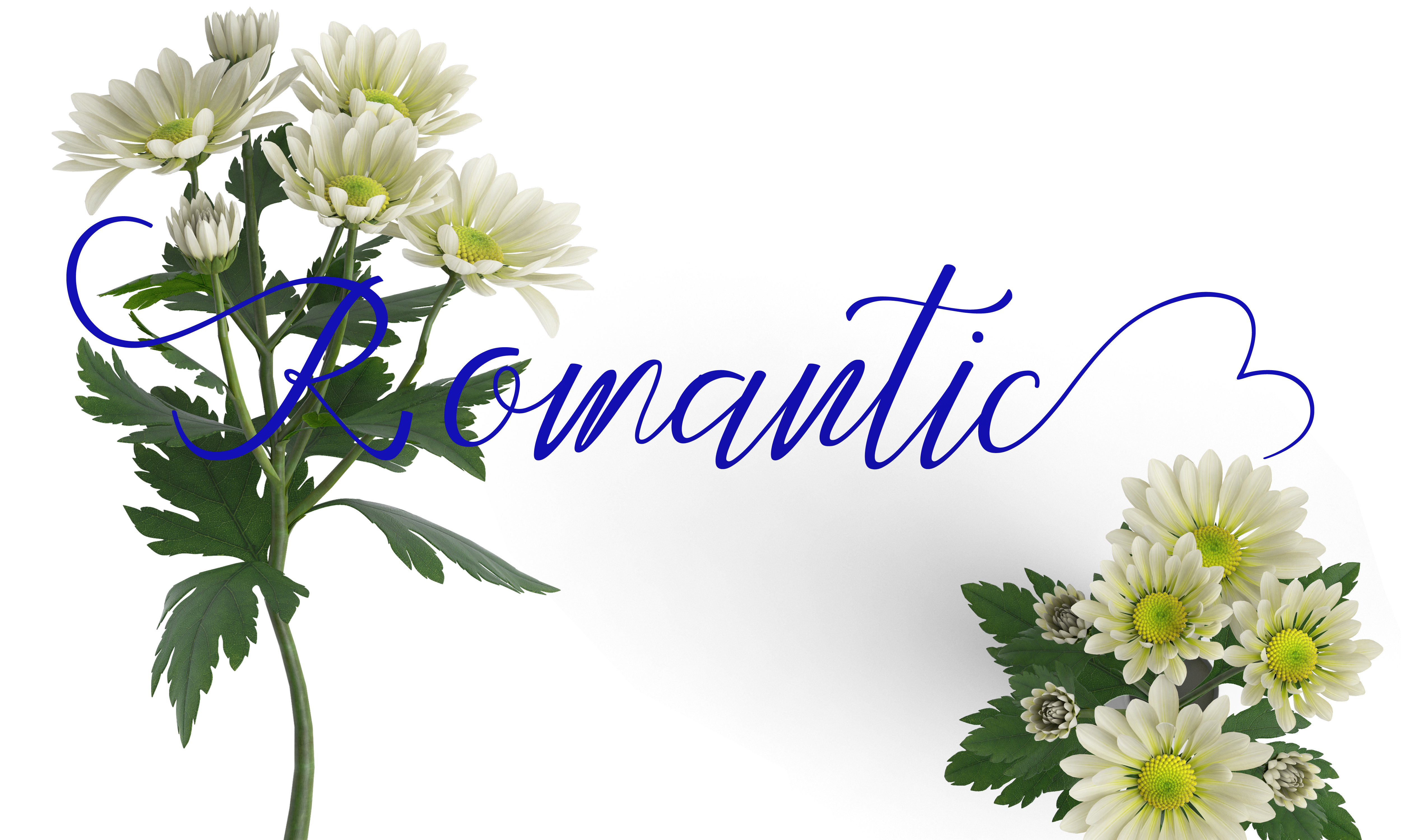 Feronika Font - Preview 3