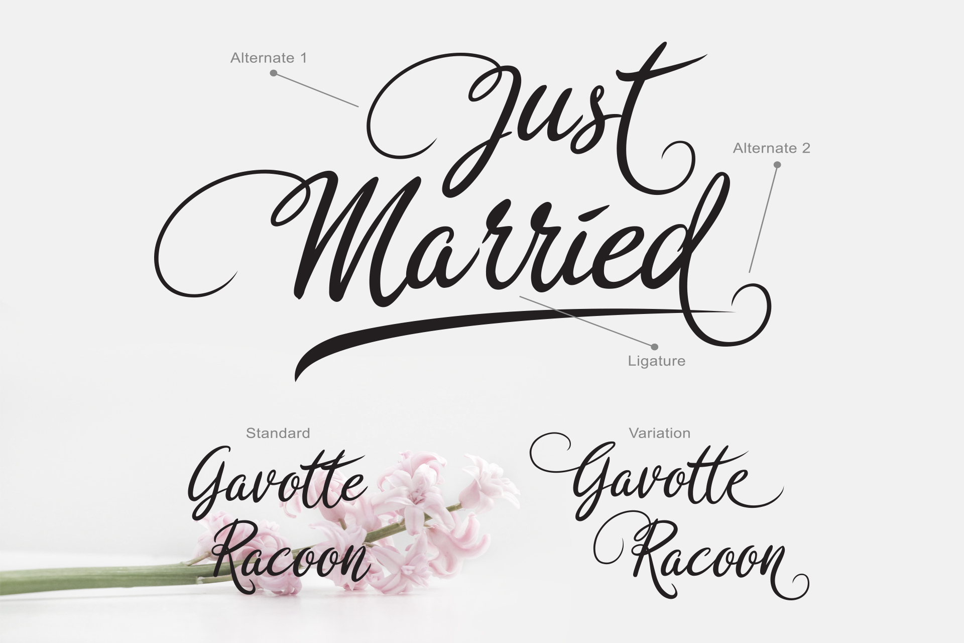 Rosedita Font PNG with transparent background - Preview 3