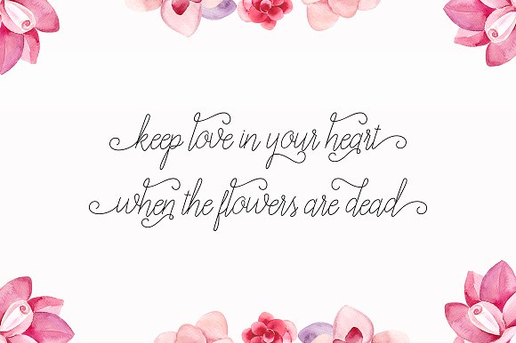 Allexandrea Font - Preview 1