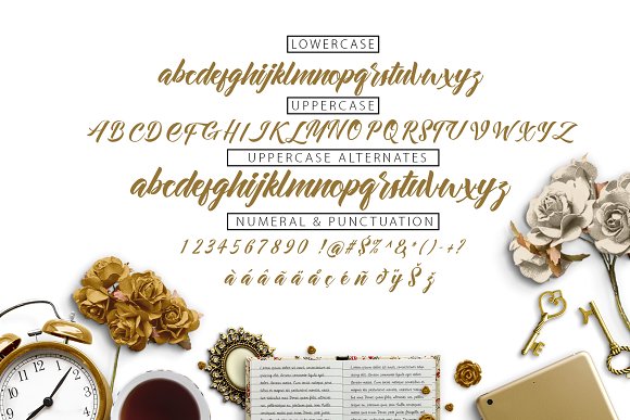Allita Font - Preview 4