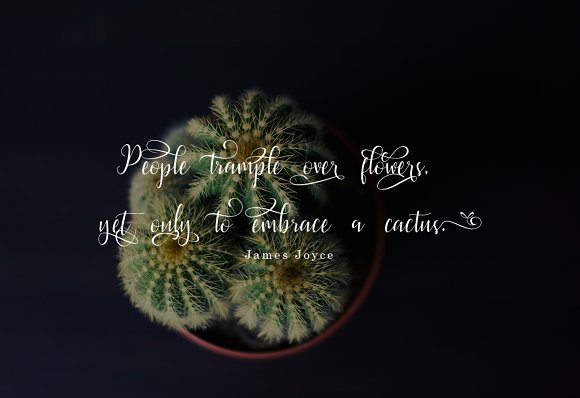 Latasha Font PNG with transparent background - Preview 5