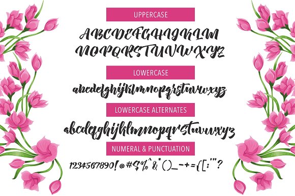New Aprillia Font PNG with transparent background - Preview 4