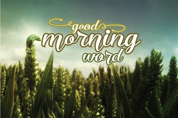 Ricca Font PNG with transparent background - Preview 2