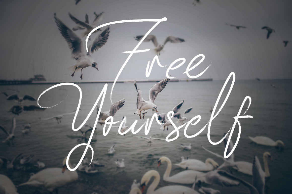 83 Script Font - Preview 4