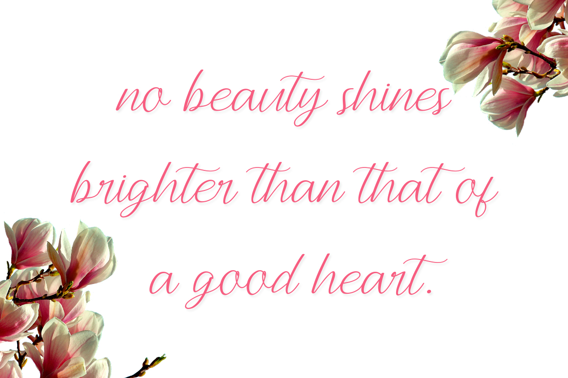 Andella Script Font - Preview 5
