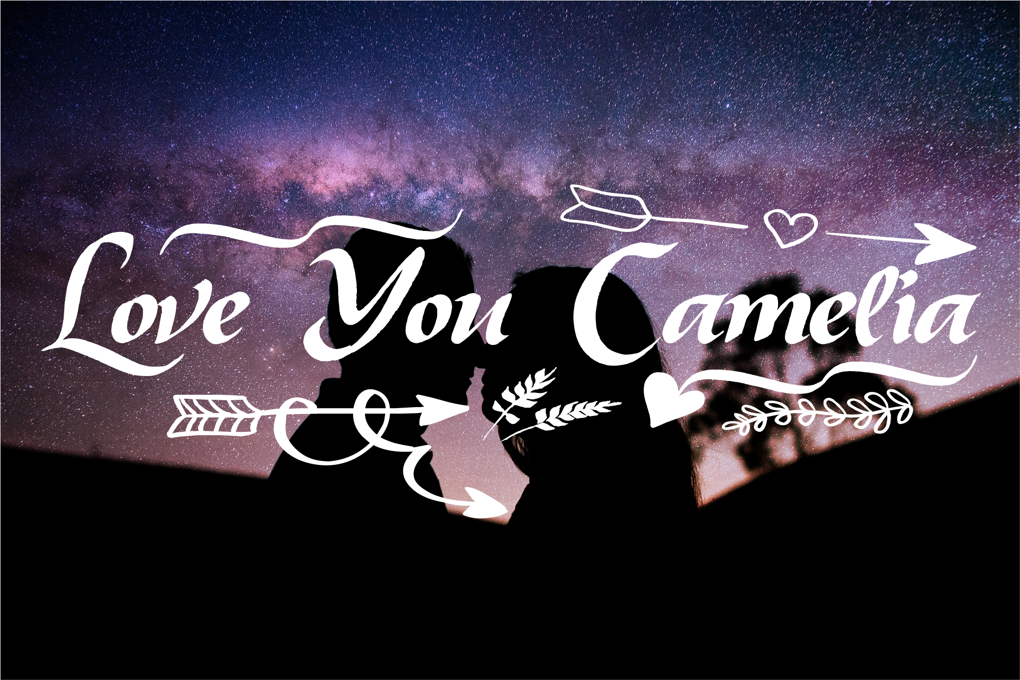 Camelia Font - Preview 3