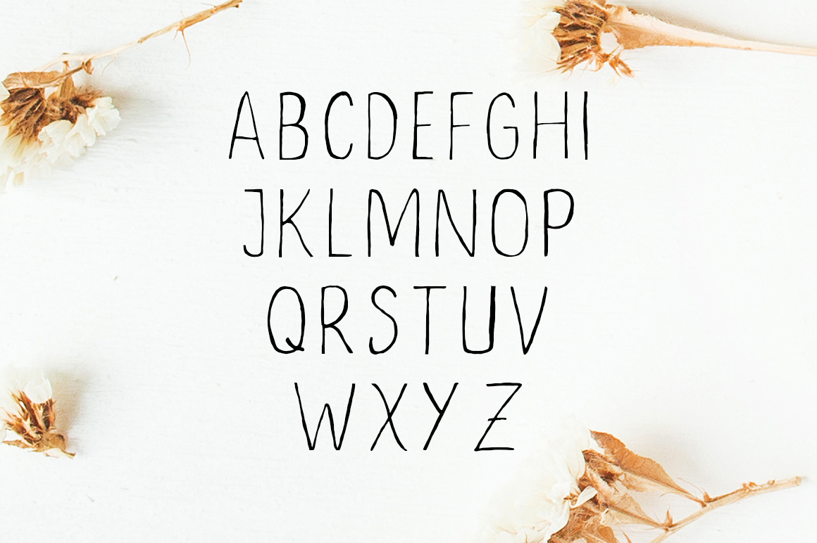 Ceica Duo Font - Preview 3