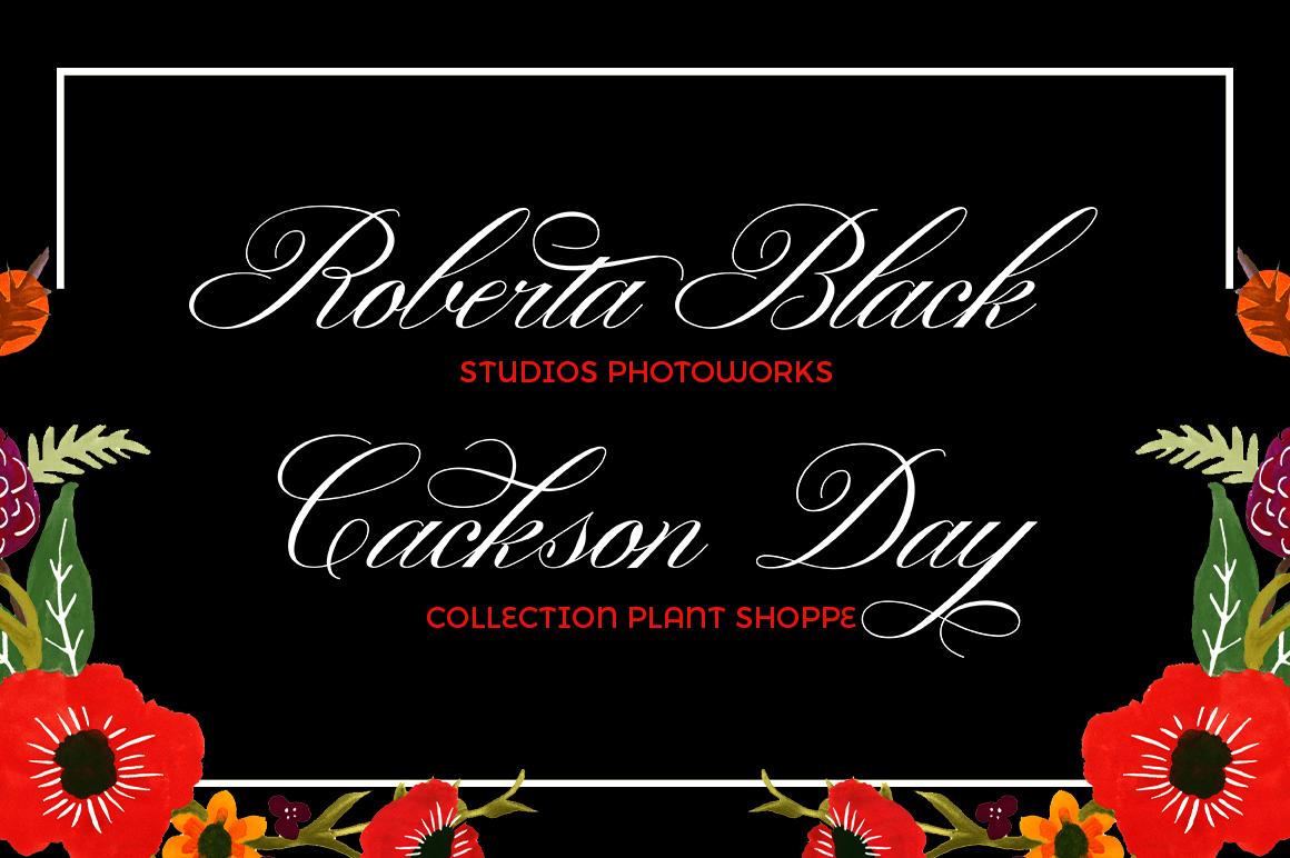 Gallisia Font - Preview 1