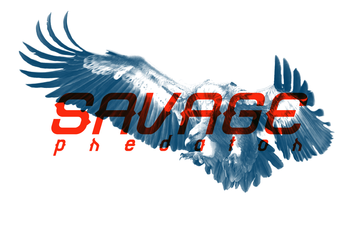 Grotesque Font - Preview 5