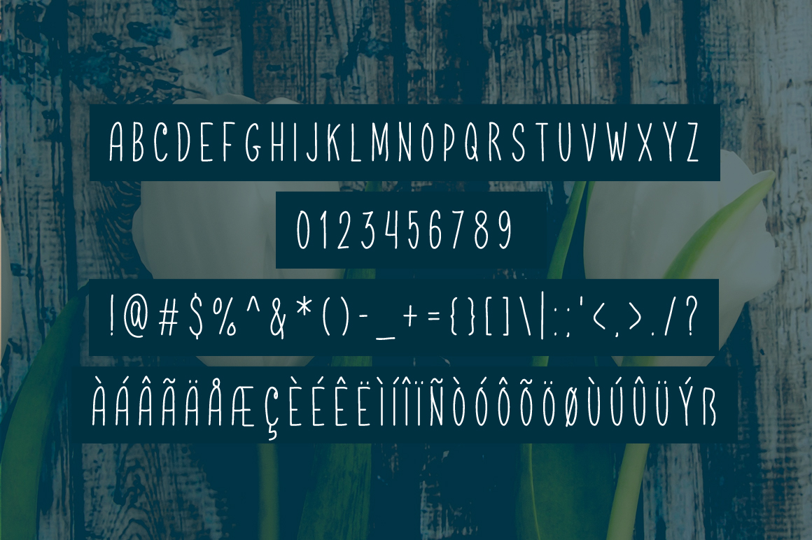 Radburn Font PNG with transparent background - Preview 3