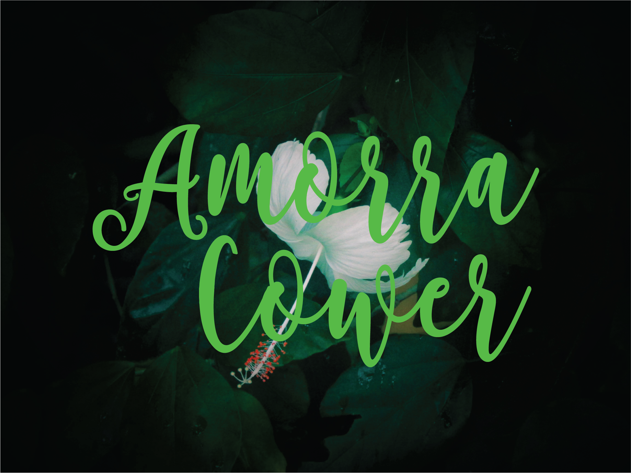Amorra Font - Preview 2