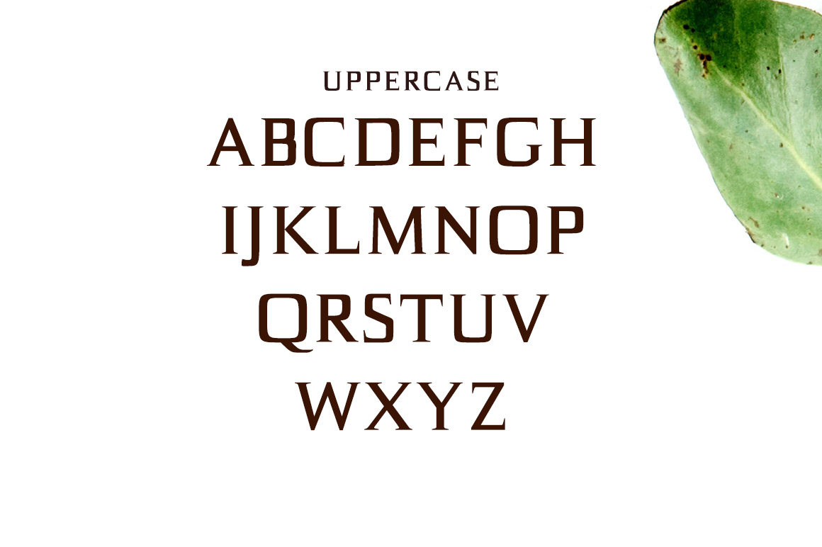 Birtle Font - Preview 1