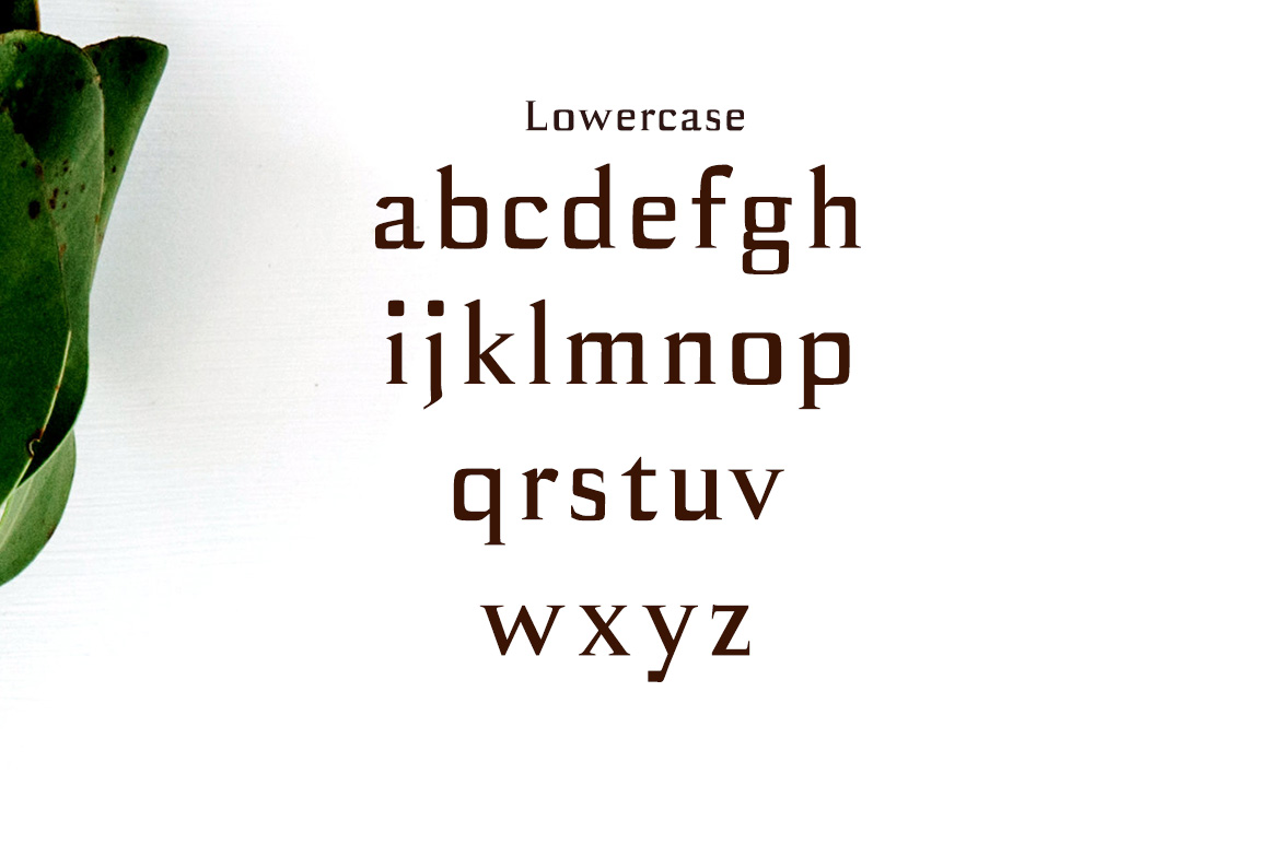 Birtle Font - Preview 2