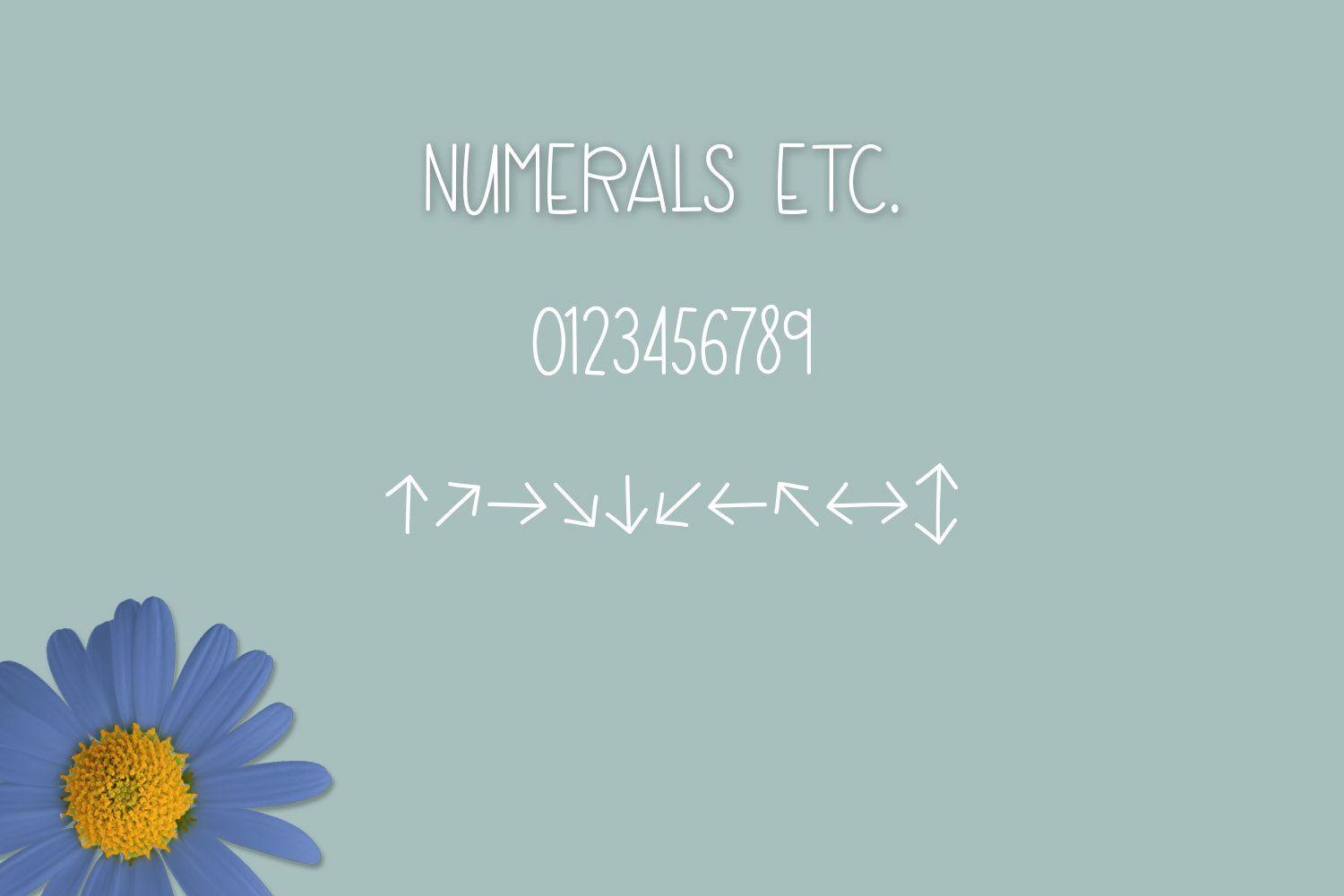 Blue Daisy Font - Preview 4