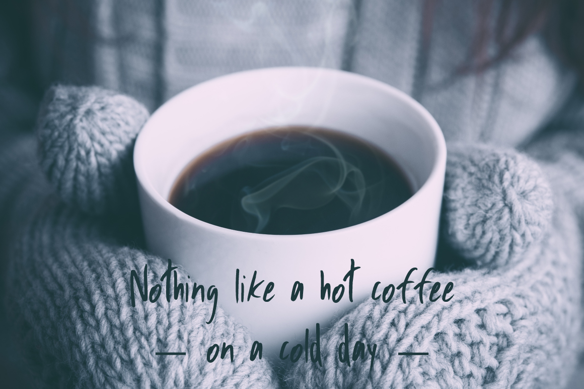 Bush Market Script Font - Preview 2
