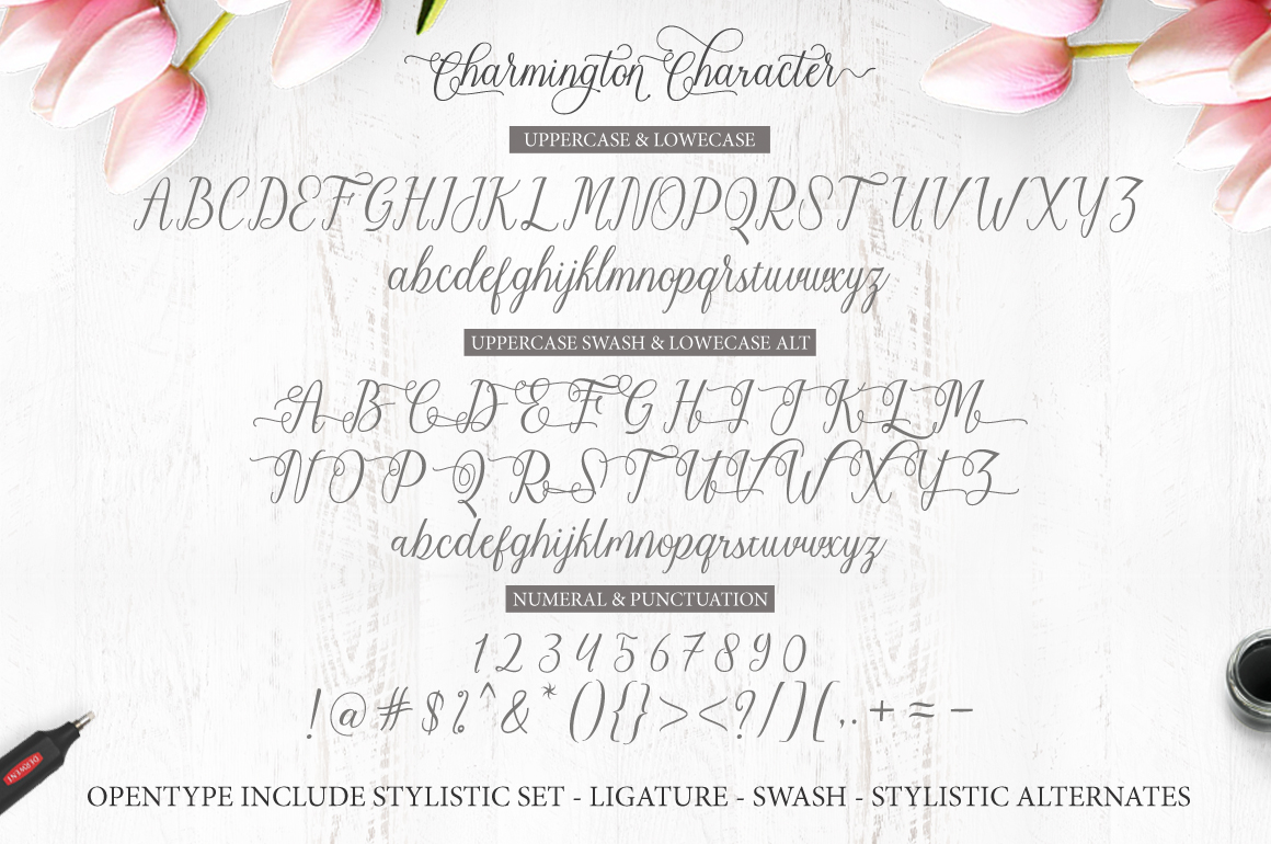 Charmington Font - Preview 4
