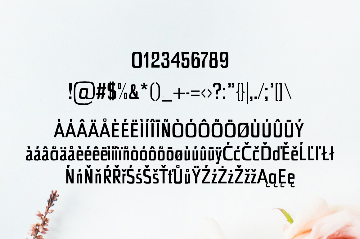 Chrys Font - Preview 3