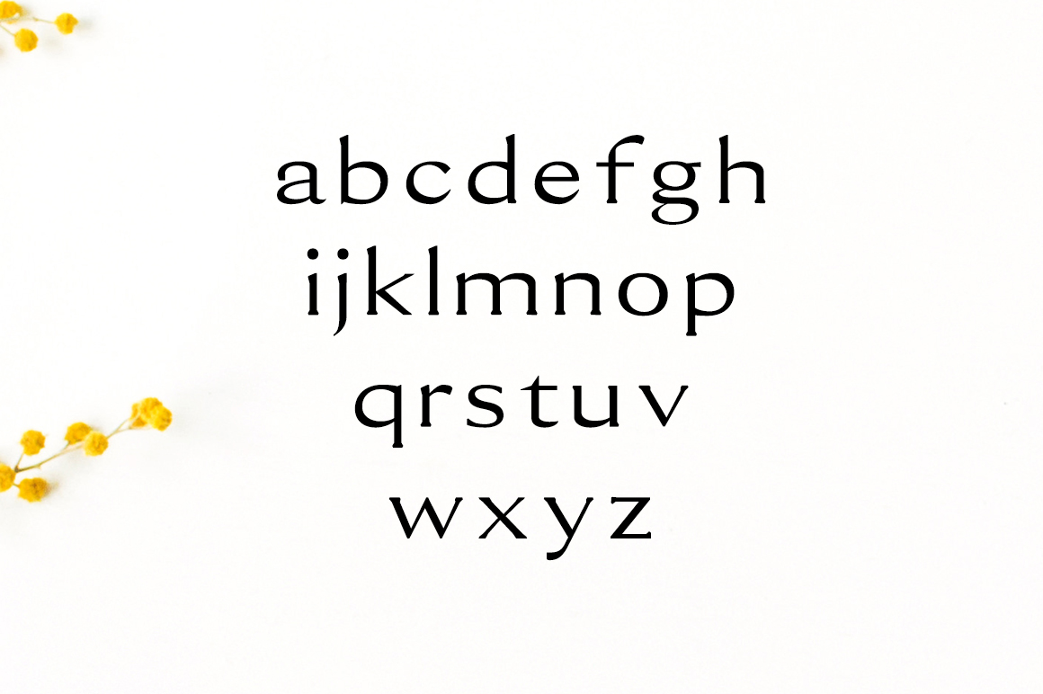 Erynn Font - Preview 2