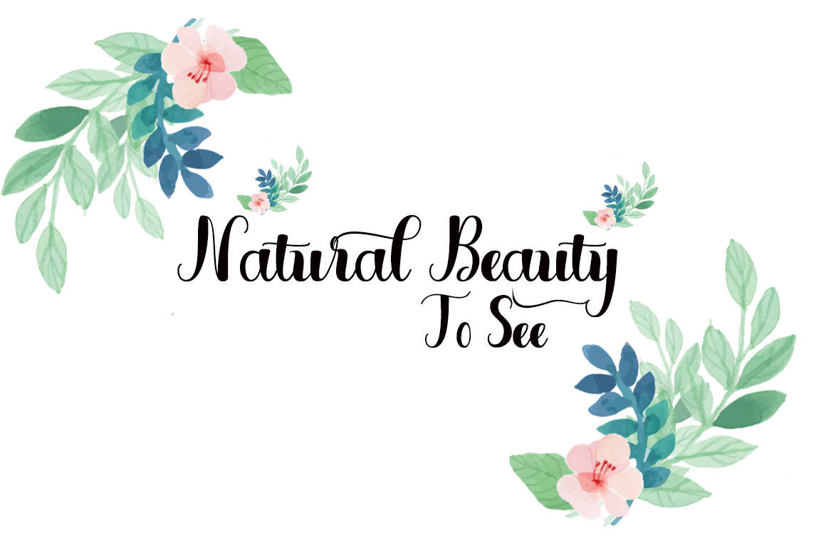 Peirolive Font PNG with transparent background - Preview 2