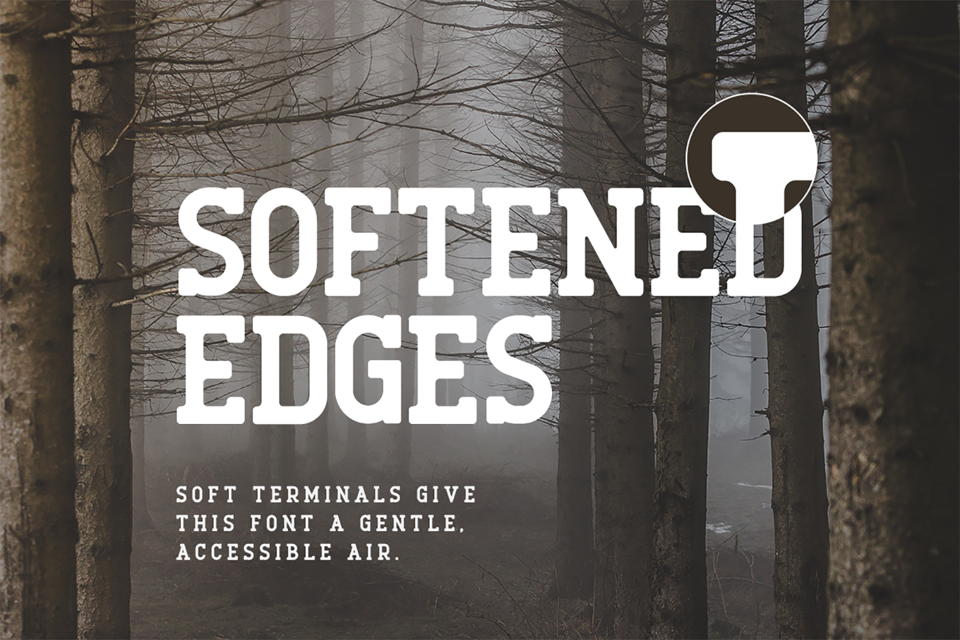 Roger Serif Font PNG with transparent background - Preview 4