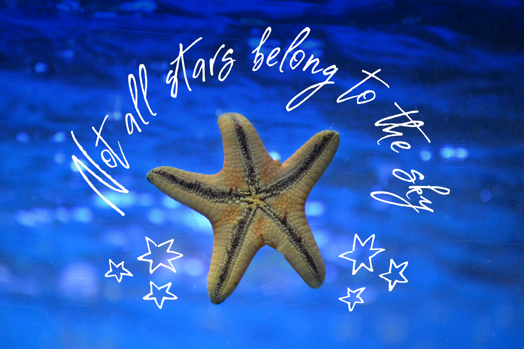 Costa Blanca Font - Preview 6