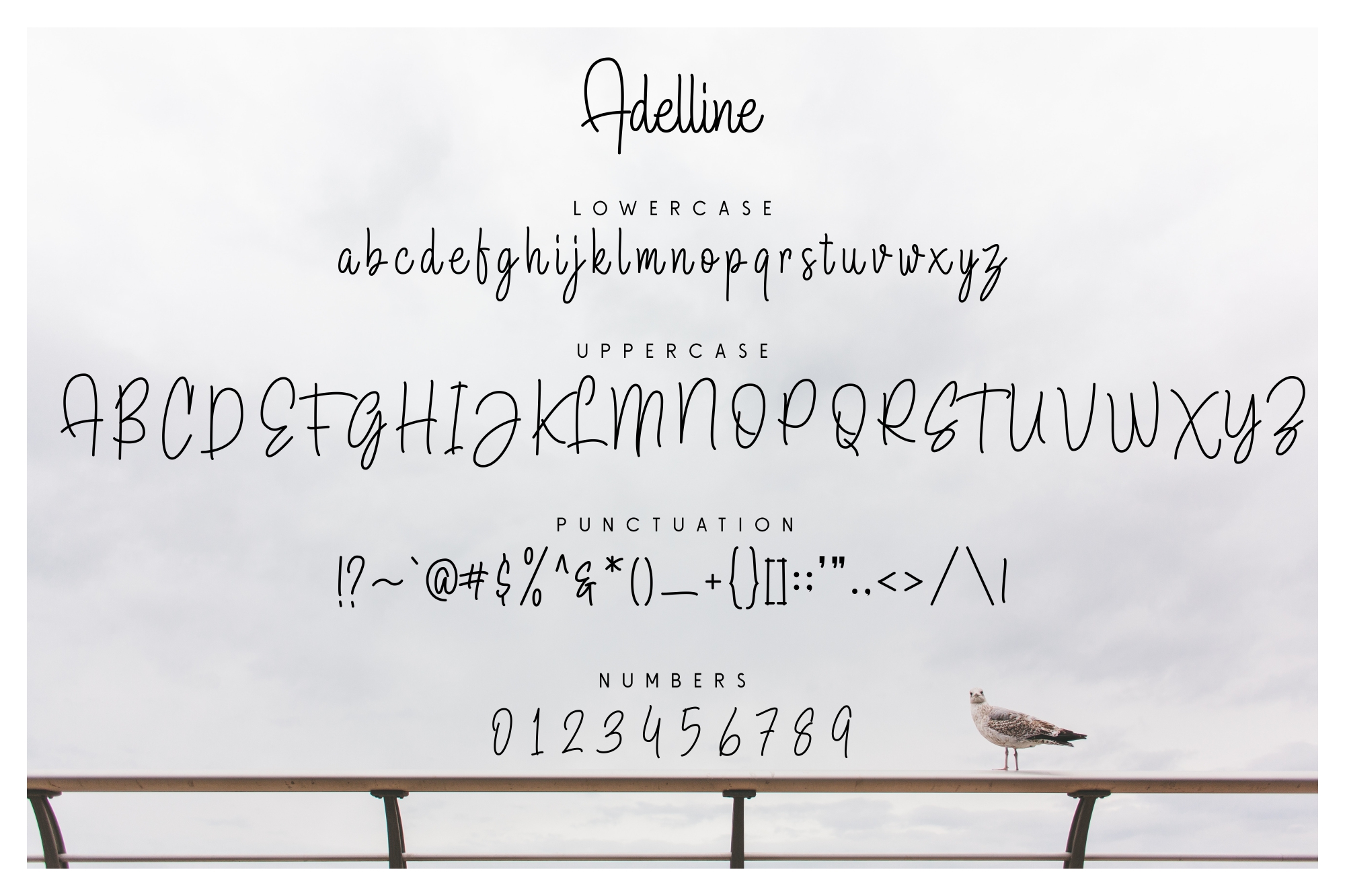 Adelline Font - Preview 4