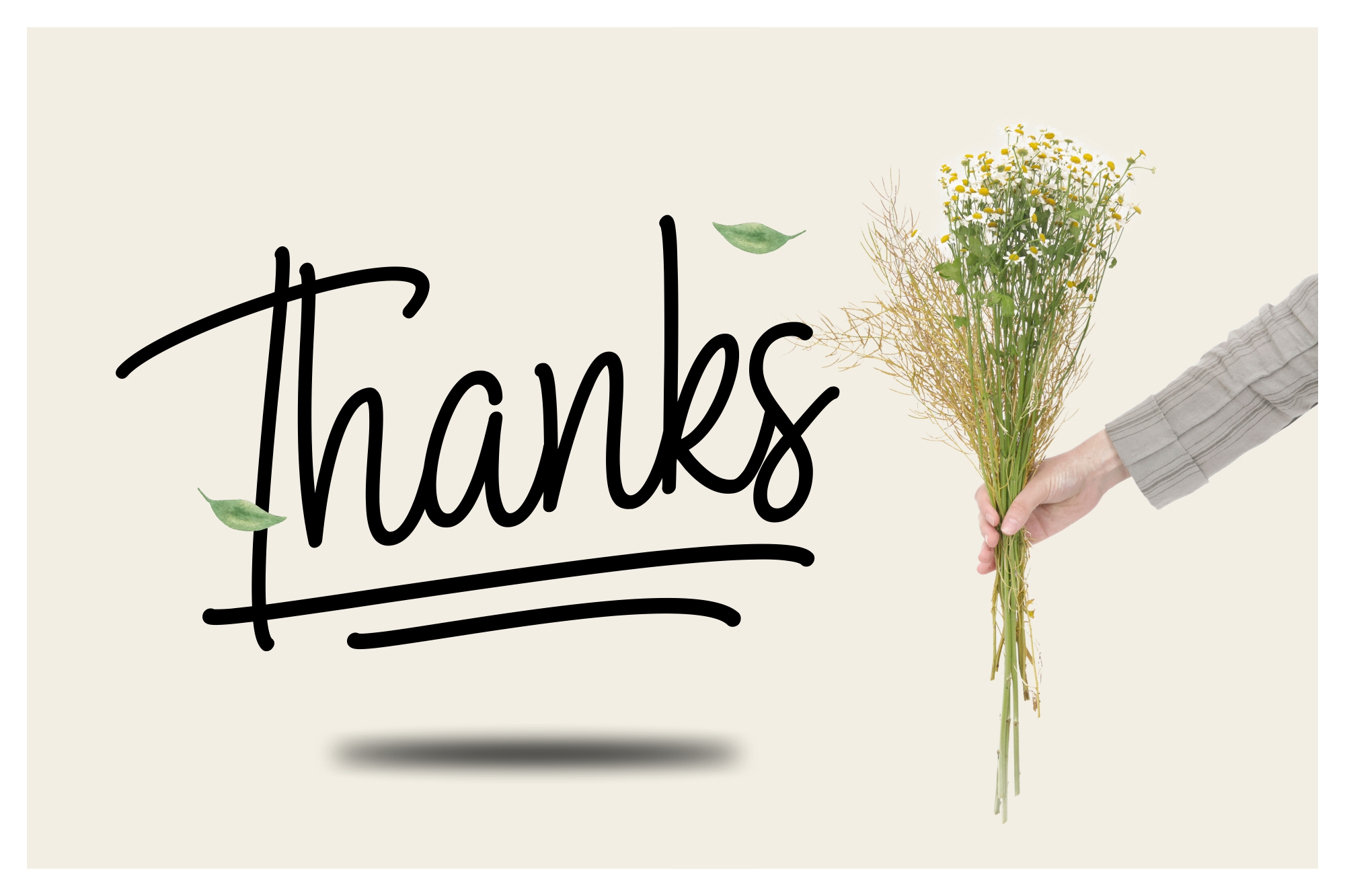 Adelline Font - Preview 6