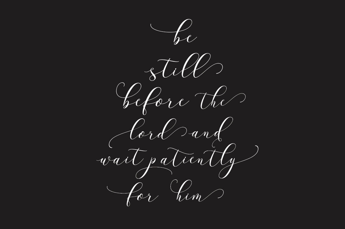 Amelia Script Font - Preview 3