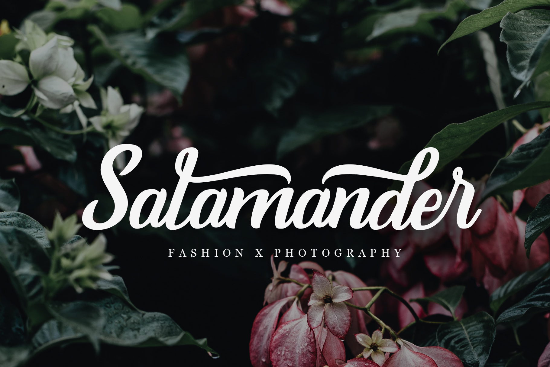 Burgundy Font - Preview 1